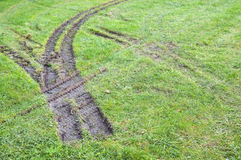 Driveway Rut Repair