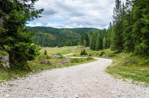 Cost of Gravel Road Grading in High Point