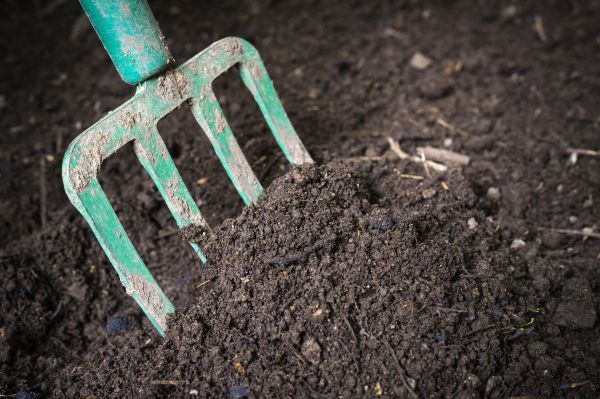 Cost of Topsoil Spreading in High Point