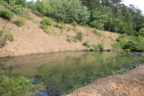 Cost of Pond Erosion Repair in High Point