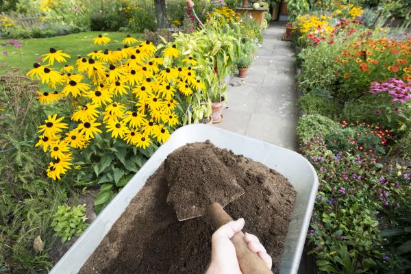 Cost of Topsoil Installation in High Point