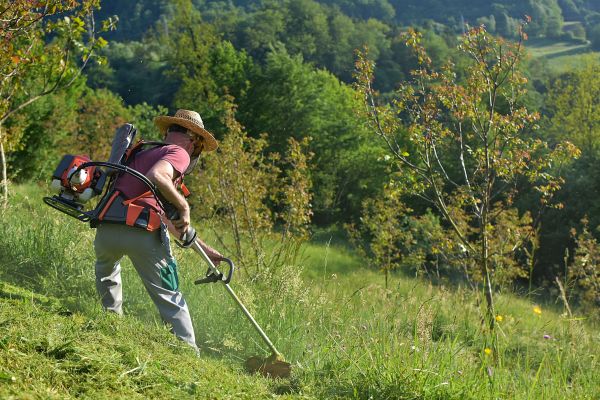 Cost of Slope Trimming in High Point